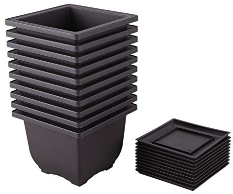 Lot de 10 pots de 13 cm en plastique pour bonsaï avec plateaux de palettes, pots de plantes grasses