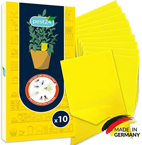 pest24 Gelbsticker Trauermücken bekämpfen Zimmerpflanzen - 10x fliegenfalle Innenbereich Gelbtafeln Mittel gegen Trauermücken, Alternative zu Nematoden, Gelbstecker