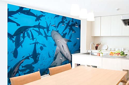 Vlies Fototapete TAUCHEN MIT HAIEN 375 x 250 cm (inkl. Kleister) - Vlies Tapete, Wandtapete, Wandbilder - Tapete für Wohnzimmer Schlafzimmer, Büro, Küche - Montagefertig