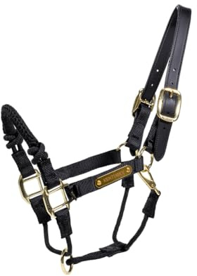 Kentucky - Halfter Control - Schwarz - Mittel
