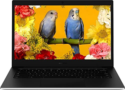 Samsung Galaxy Chromebook Go 14 Laptop for Student, Intel Celeron N4500 Processor up to 2.8GHz, 4GB LPDDR4 RAM, 64GB eMMC, WiFi 6, Silver, Chrome OS, DAODYANG (Renewed)