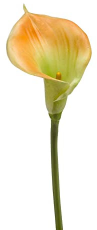 artplants.de Deko Blume Calla DAISCHI, gelb-grün, 70cm - Künstliche Zantedeschia