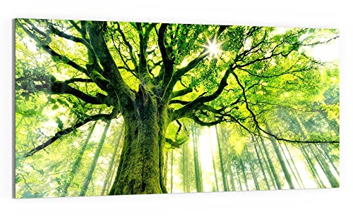 DEQORI Glasbild Acrylglas | Motiv Eindrucksvoller Baum | horizontal einteilig 100x50 cm | schöne Dekoration | Wandbild für Wohnzimmer, Schlafzimmer, Flur & Küche | moderne Wanddeko