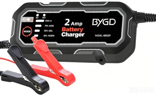 Tavaler Autobatterie Ladegerät 6V/12V 2A Batterieladegerät Auto Motorrad | Ladegerät Autobatterie 8 Stage Erhaltungsladegerät 12 V Lithium (LiFePO4) KFZ Ladegerät für WET/GEL/MF/CA/EFB/AGM Batterien