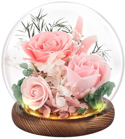 FAYODO Ewige Rose im Glas mit Licht, Konservierte Blumen als Geschenke für Frauen Mama Oma Freundin zum Muttertag Geburtstag Weihnachten Jahrestag Valentinstag Erntedankfest-Rosa
