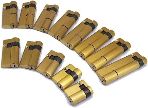 Polished Brass Euro Cylinder Lock， 1 Pcs Fingerprint Smart Lock Cylinder,Copper Material,C-Class Lock,with 3keys,High Security One-Sided Half Lock Cylinder Barrel Lock(60)