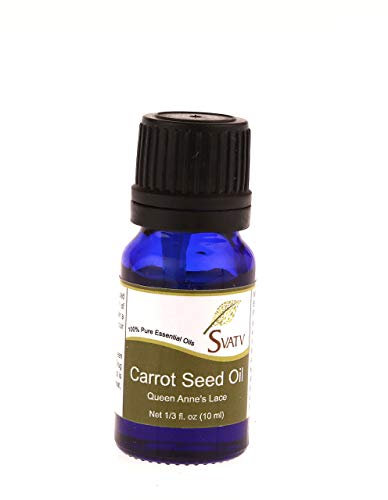 SVATV Carrot Seed Aceite esencial de semilla de zanahoria para masaje de yoga y aceite de fragancia ambiental para difusor cuidado personal de bricolaje - 10 ml
