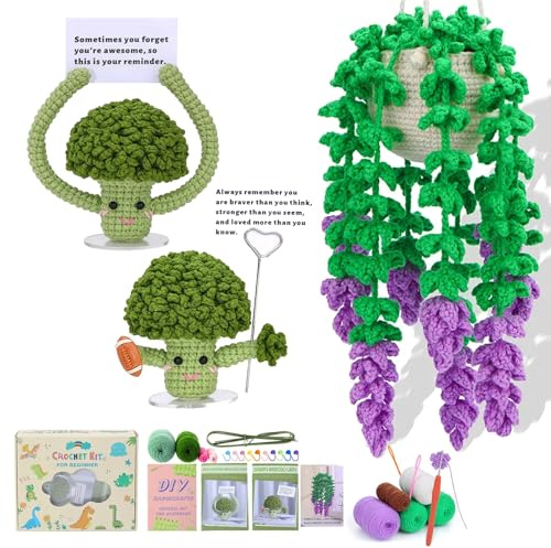 wishstream Crochet Kits for Beginners Adults,spositive Gifts for 3pcs Hanging Potted Plant Crochet Starter Kit with Video Tutorials,Beginner-Friendly Crafting Set