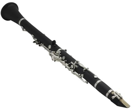 Klarinetten-Set B Klarinette 17 Tasten Bakelit Holz Professionelle Holzblasinstrument Klarinette Mit Box Reed Musikinstrument Teile (Color : Bk)