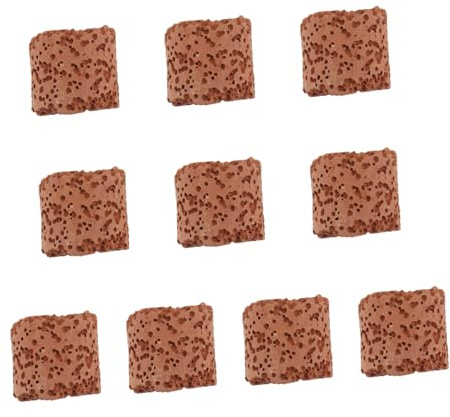CORHAD 10 pièces Anneaux Fixation Plantes Aquatiques Durables pour Aquarium et Déco Fish Tank