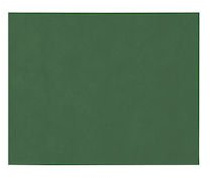 Papstar, 100 Tischsets, stoffähnlich, Vlies soft selection 30 cm x 40 cm dunkelgrün, #82324