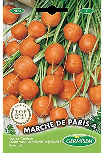 Germisem Marché de Paris 4 Semi di Carota 3 g