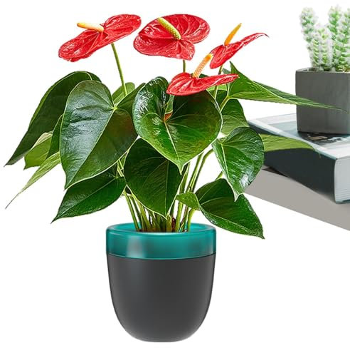Pots à arrosage automatique – Pot de fleurs pour d'intérieur | Pot d'irrigation automatique | Mèche de pots de fleurs | d'intérieur à arrosage automatique | Pot de fleurs succulentes |