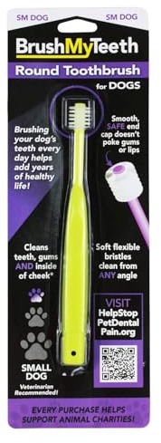 Brush My Teeth Small Dog Toothbrush, Rounded Brush Head -Soft Flexible Bristles, Safe and Gentle Brushing for Small Dogs, Small Breeds and Puppy, Daily Brushing Adds Years of Healthy Life, Multicolor