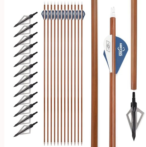 surwolf 31,5 Bogenschießen Carbonpfeil,Spine 500 Übungspfeile,Jagdpfeile,abnehmbaren Spitzen,Zielpfeile für Compound & Recurvebogen (blau 2 + pfeilspitze, 12)