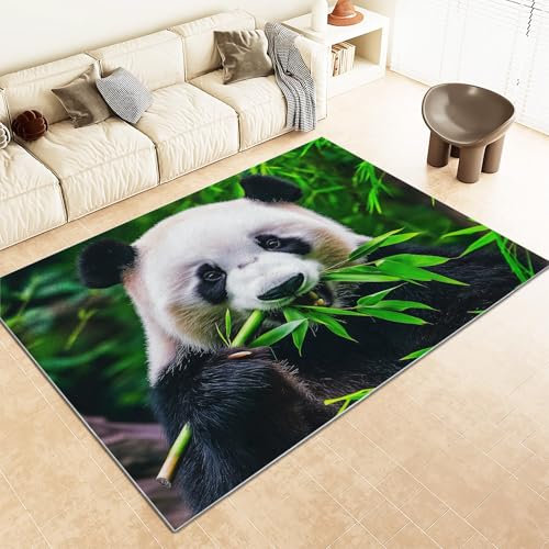 Srigzcaly Teppich Wohnzimmer, Tierischer Riesenpanda GrüNer Bambus Teppiche rutschfest Waschbar GrüN Teppiche Kurzflor für Schlafzimmer Kinderzimmer, Weiche Flanell Teppich 80x150cm