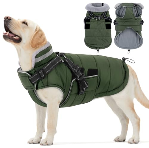 ASENKU Cappotto Cane Invernale Impermeabile, Cappottino per Cani per Cani di Piccola Taglia, Media e Grande,Giacca per cani Antivento Riflettente con imbracatura L
