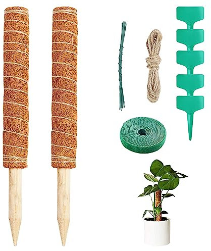 Newpop 2 Pezzi Palo Totem in Fibra di Cocco per Piante Rampicanti 40 cm, Bastone Muschiato con 5 Etichette, Corda di Iuta, Sostegno Monstera, Cocco Bastoncino di Muschio, Bastoncini di Supporto