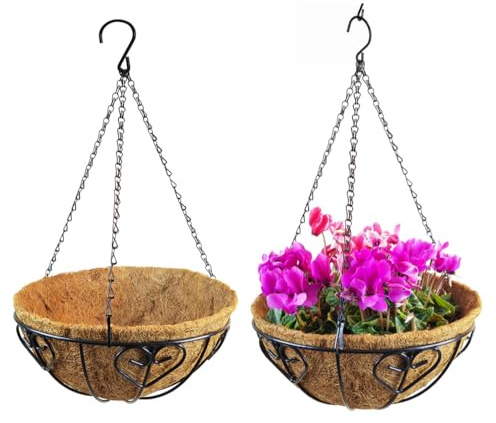 NatureMan Paquete de 2 macetas colgantes de 10 pulgadas para exteriores, con forro de fibra de coco, soporte redondo de alambre para plantas con cadena, cestas colgantes de metal para decoración,
