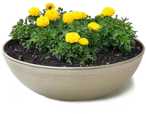 matches21 HOME & HOBBY Jardinière d'extérieur en champagne beige 30 x 9 cm comme bac à fleurs résistant aux intempéries