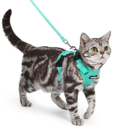 rabbitgoo Katzengeschirr mit Leine mit Hals-Klickverschluss, S, Minzgrün | Kein Über-Kopf-Ziehen, Ausbruchsicher, Verriegelte Schnallen, Weiches Air-Mesh, Reflektierend, für Ausgewachsene Katzen