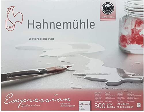 Hahnemühle Expression Aquarellblock, 20 Blatt, 300 g, 24 x 30 cm, 100% Baumwolle, Moulin du Coq Made in Germany