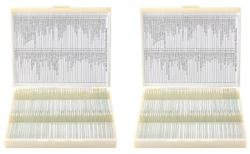 50PCS Vorbereitete Mikroskop-Objektträger-Set, Mikroskop-Objektträger mit hölzerner Dia-Aufbewahrungsbox, Mikroskop-Objektträger Vorbereitetes Labor Für Grundlegende Biologische Wissenschaft Bildung