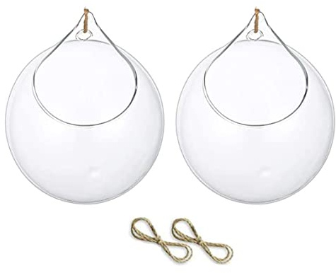 Gcroet 2pcs Suspendus Terrarium Succulents Planter Globe Suspendu Plantes en Verre Terrarium Contenant de File
