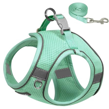 AIITLE Hundegeschirr für kleine Hunde, kein Ziehen, Katzengeschirr mit Leine, verstellbares Welpengeschirr mit Schnellverschluss-Schnalle, reflektierende Outdoor-Haustierweste für extra kleine Hunde