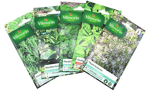 Pack de 5 sachets graines aromatiques - Thym - Oseille - Persil - Menthe - Romarin