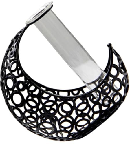 HEMOTON Vase à Fleurs Fer Et Vase Tubulaire pour Plantes Hydroponiques Ornement De Table Design pour Intérieur