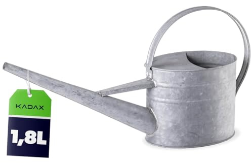KADAX Zinkgießkanne 2L aus verzinktem Stahl, Vintage Gießkanne mit langem Ausguss, Metall Giesskanne für Zimmerpflanzen, kleine Blumengießkanne (Silber)