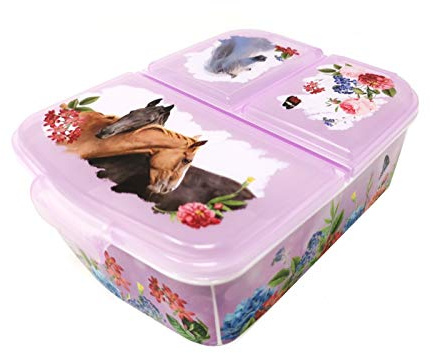Boîte repas pour enfant - Boîte à déjeuner pour enfant avec compartiments - Boite (chevaux)