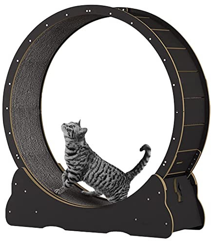 Katzenrad -Übende für Innenkatzen, großes Katzen -Laufrad -Laufband mit austauschbaren Griffpads, Verriegelungsmechanismus, TPE stille und geräuschlose Rollen Pet Pet Smooth Run frei,Black-XL