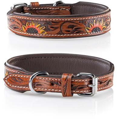 Jack & Russell Original Hundehalsband aus Leder, Hand-geschnitzt und gepolstert – Halsband aus Büffelleder, Hunde Lederhalsband Soleil (S (26,0-34,0cm)