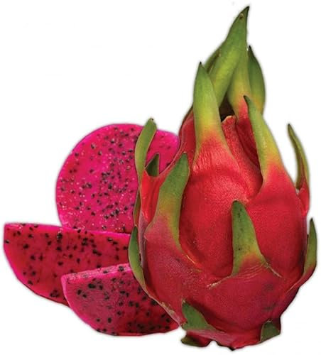 Buy4seeds 20 Seeds Red Dwarf Pitaya Dragon Fruit Seeds, Cactus Garden Plant, Juicy and Delicious Easy to Grow Garden