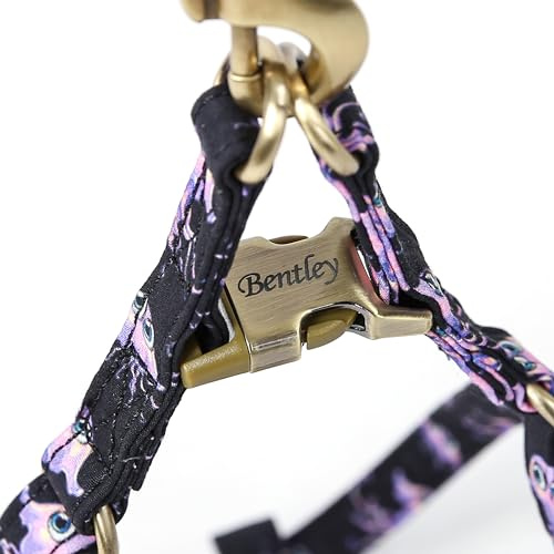 Angie and Allie Organic Cotton Personalized Step in Dog Harness,Custom Dog Halter Vests,Adjustable No Pull Canine Halter Harness for Small Medium Large Dogs