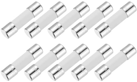 QUARKZMAN 10er Packung Keramik Sicherung 200mA, Träge Feinsicherung 5x20mm Glassicherung 250V Fuse