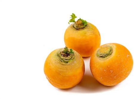 400 Semi - Sementi - Rapa Palla d'oro - Frutta Verdura Giardino - Giallo - 226