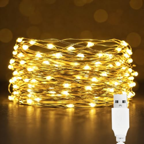 EvaStary USB LED stringa luce, 10M 100LED rame filo stringa luci, camera da letto impermeabile catena decorativa luce per fai da te Natale, giardino, festa, decorazione matrimoniale, bianco caldo