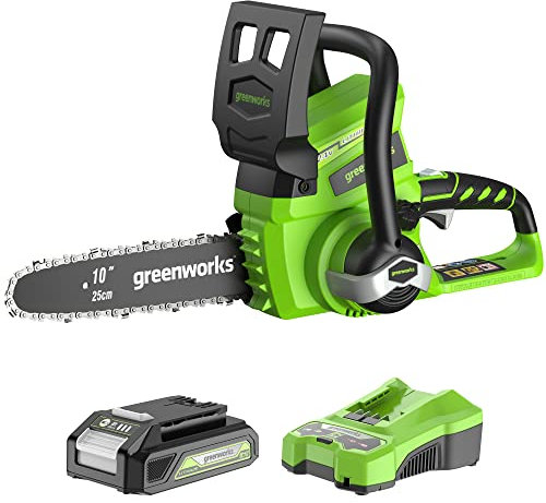 Greenworks 24 V 25 cm Akku-Kettensäge, Kettengeschwindigkeit 4 m/s, Automatische Schmierung (mit 1 Akku und Ladegerät)