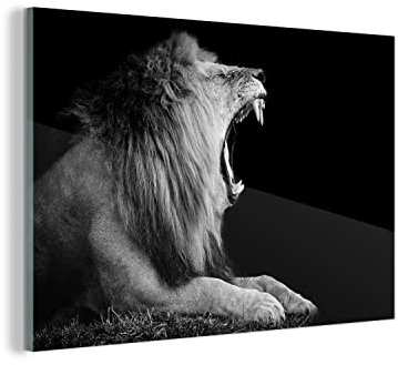 MuchoWow Glasbild Glasfoto Wandbild Bilder Deko 150x100 cm Löwe - Schwarz - Weiß - Tier
