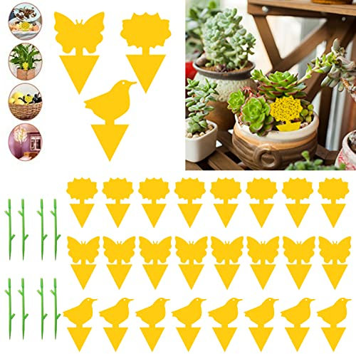 Lavagne Gialle per Insetti,Trappole per Chiocciole,Spine Gialle per Colla Brina,Contro Zanzare,Adesivi gialli,Trappole Appiccicose,Trappole per mosche adesive,Biadesivo Trappole per Insetti,24 pz
