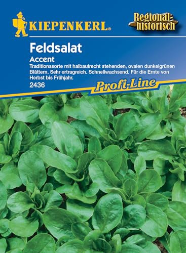 Kiepenkerl Profi-Line Feldsalatsamen Accent 2436 – Sehr ertragreiche - Schnellwachsend - Inhalt für 5 lfd. Meter - Salatpflanzen - Saatgut - Salate