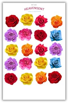 Cake Topper Edible 40 Multicoloured Roses Red Blue Flowers Pre-cut Premium Thick Sweet Wafer Card Standing Cupcake Toppers Birthday Party Cake Decorations