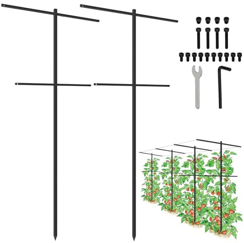 Rankgitter für Weinberg, 2 m, abnehmbar, 2 m, für Garten, Himbeere, Rankgitter, Rankgitter, Metall, Pflanzenstütze, Rankgitter für Kletterpflanzen, Gemüse, Obst, 2 Stück