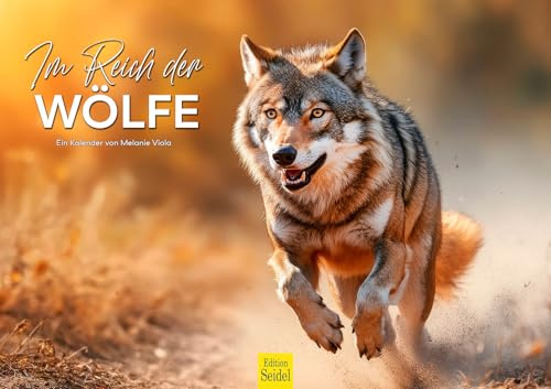 Edition Seidel Calendario Premium en el Reino de los Lobos 2026, formato DIN A3, calendario de pared, animales, lobo, animales jóvenes, manada de animales salvajes, naturaleza, amantes de los animales