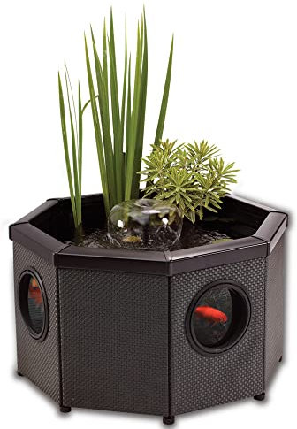 Blagdon Affinity View Octagon Living Water Feature Teichbecken für Wasserlebewesen, achteckig, mit Sichtfenstern