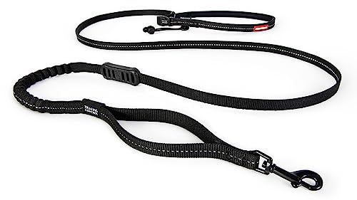 EzyDog Road Runner LITE Hands Free Dog Leash for 26lbs or Less – Waist Leash for Dog Walking, Jogging and Running with Zero Shock Bungee, Reflective Stitching, and Adjustable Waist (Lite, Black)