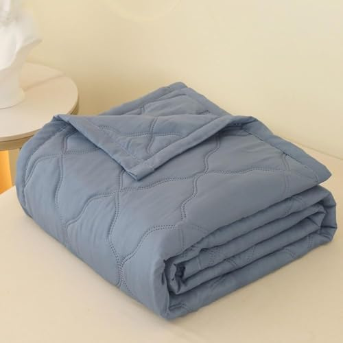 YongXinMY Gesteppte Tagesdecken, Steppdecke, Bettüberwurf, Baumwollfüllung, Einzelbett, Doppelbett, Super-King-Size-Bett, gesteppter Überwurf für alle Jahreszeiten (Grau-Blau, 200 x 230 cm)